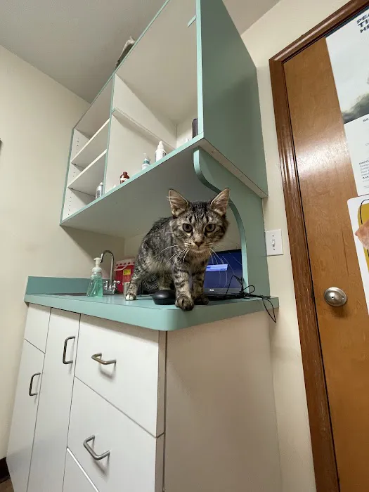 Waterloo Animal Hospital Picture 8