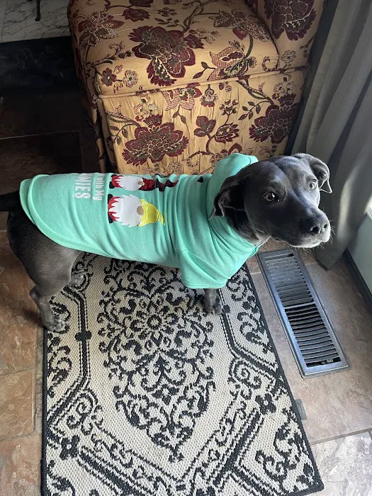 Animal Clinic South Picture 1