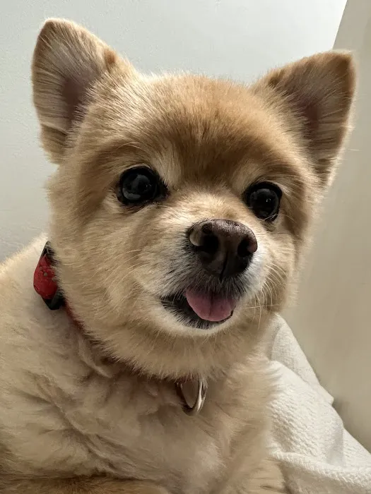 Noah's Ark Veterinary Office Picture 2