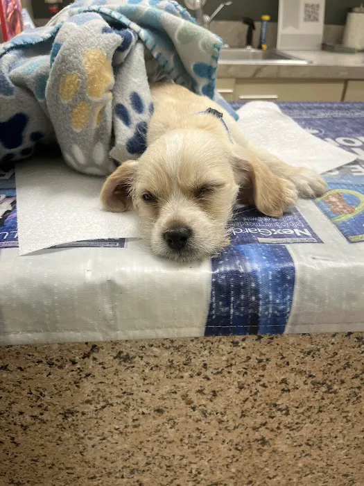 Noah's Ark Veterinary Office Picture 8