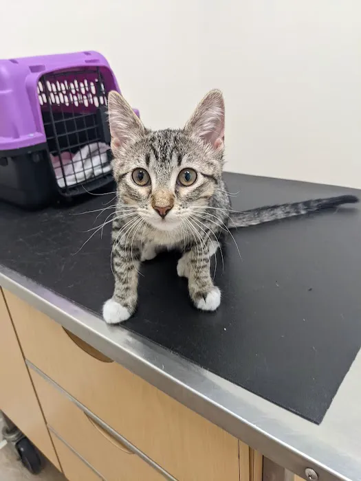 Noah's Ark Veterinary Office Picture 5