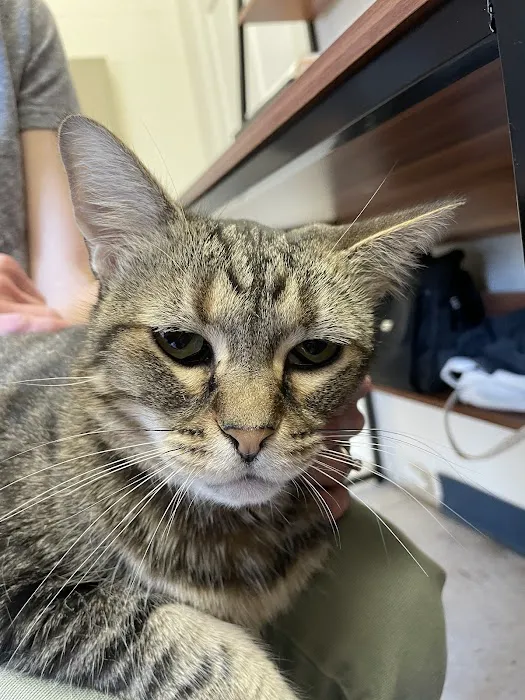 Noah's Ark Veterinary Office Picture 6