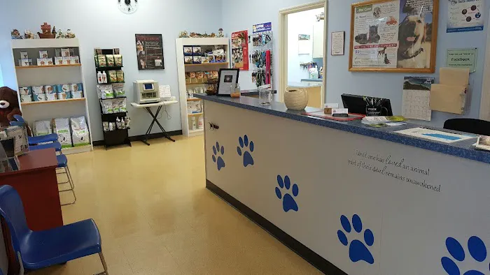 Noah's Ark Veterinary Office Picture 9