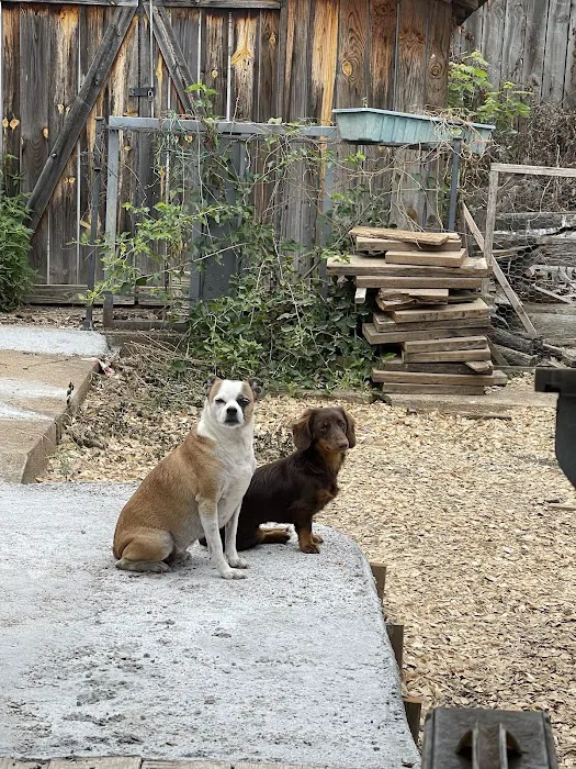 Noah's Ark Veterinary Office Picture 10