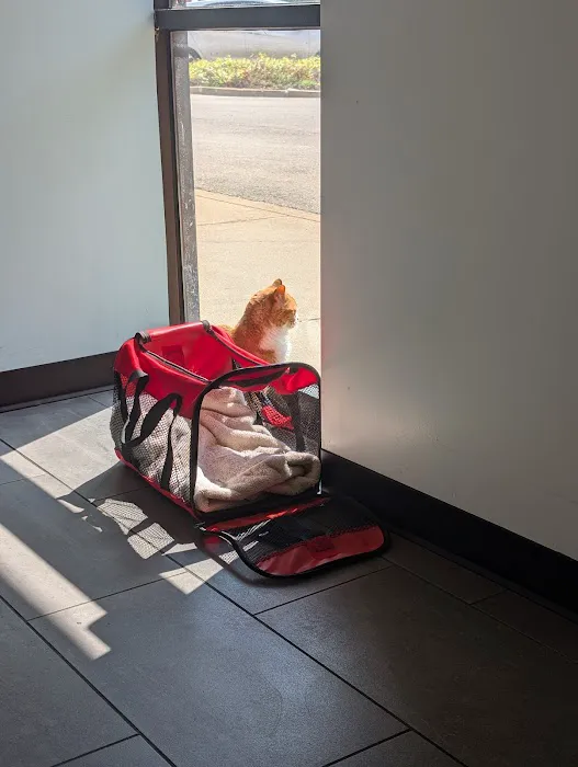 Banfield Pet Hospital Picture 2