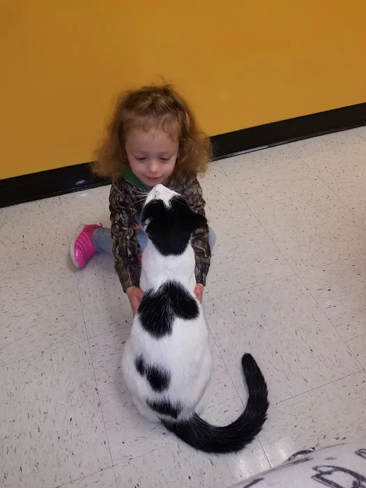 Banfield Pet Hospital Picture 8