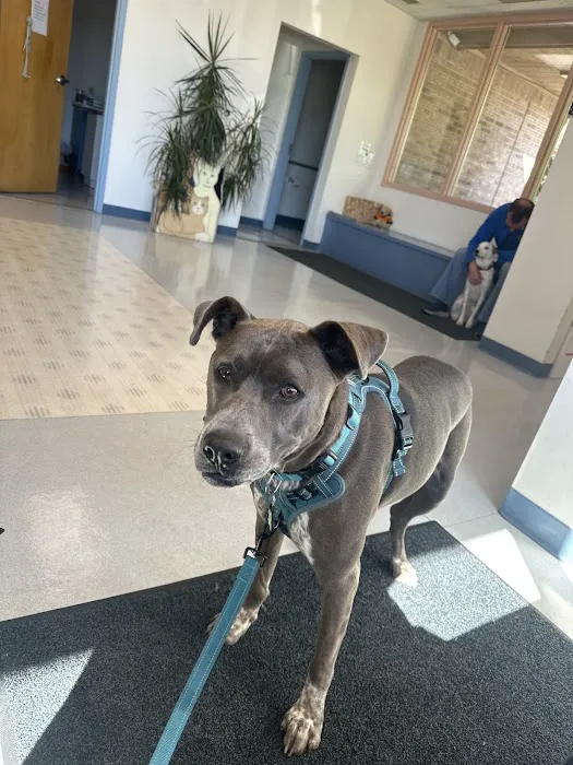 Southwick Veterinary Hospital Picture 1