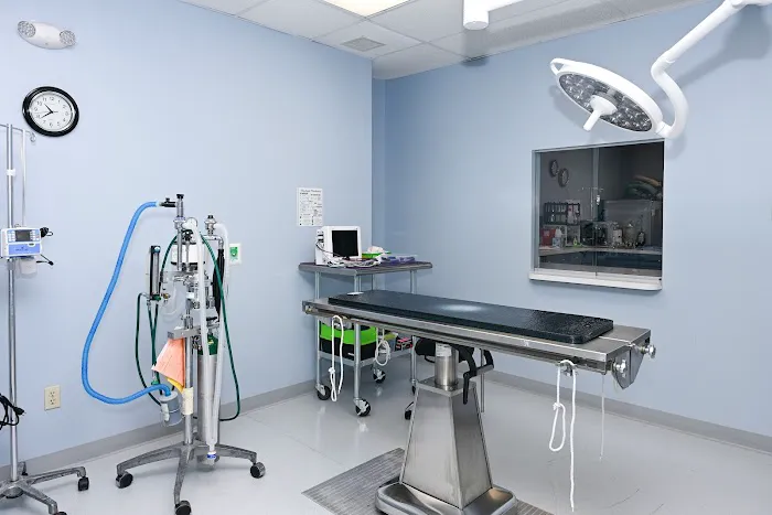 Southwick Veterinary Hospital Picture 5