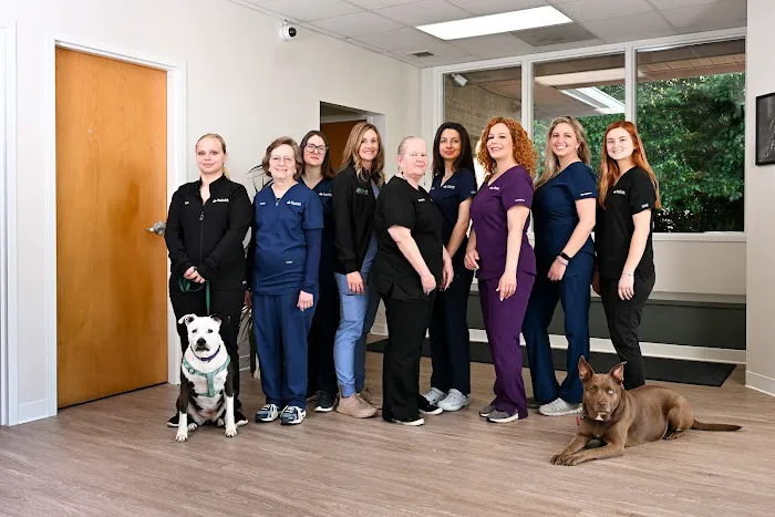 Southwick Veterinary Hospital Picture 8