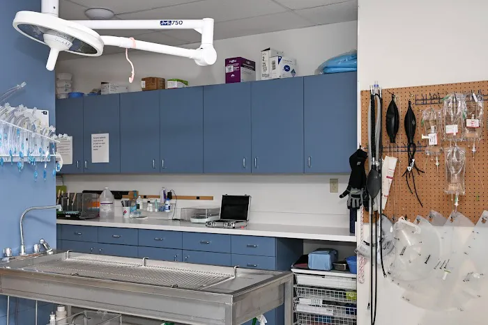 Southwick Veterinary Hospital Picture 10