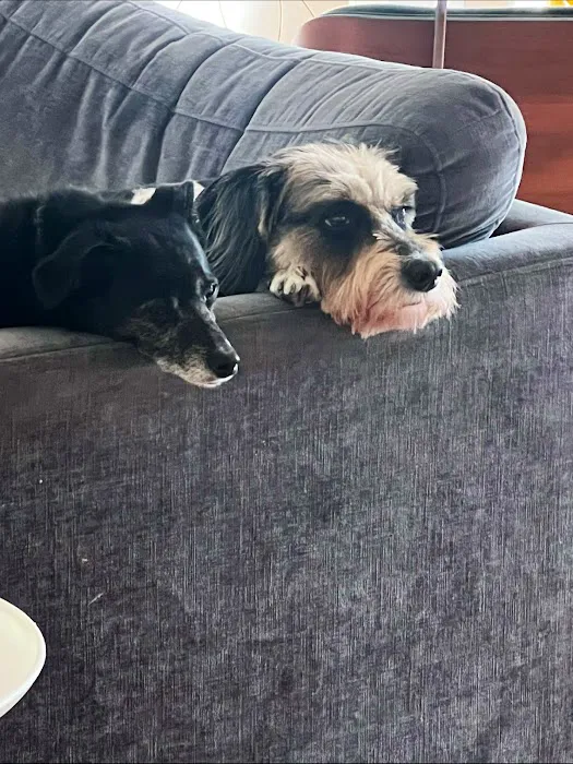 Concord Animal Hospital Picture 2