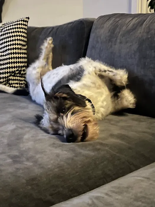 Concord Animal Hospital Picture 1