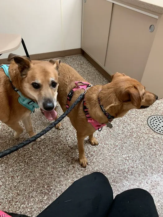 Concord Animal Hospital Picture 5