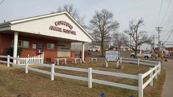 Concord Animal Hospital Picture 9