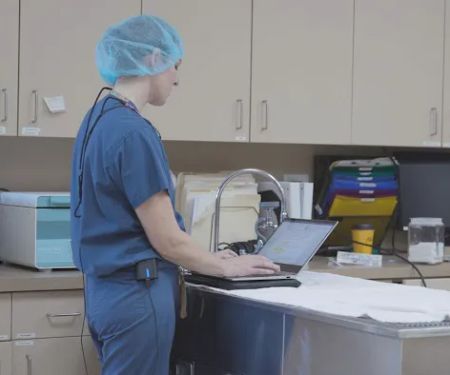 Gateway Veterinary Surgery