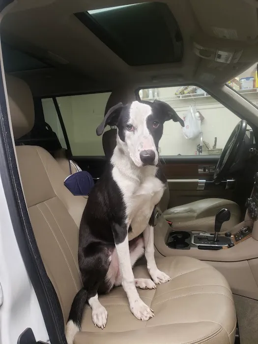 Gateway Veterinary Surgery Picture 6