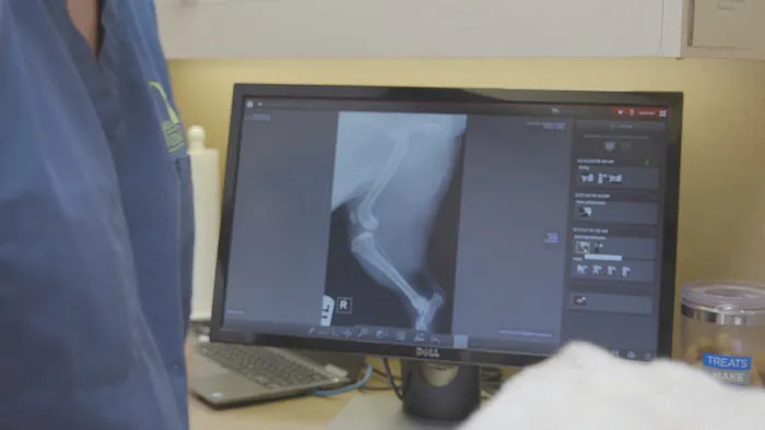 Gateway Veterinary Surgery Picture 4