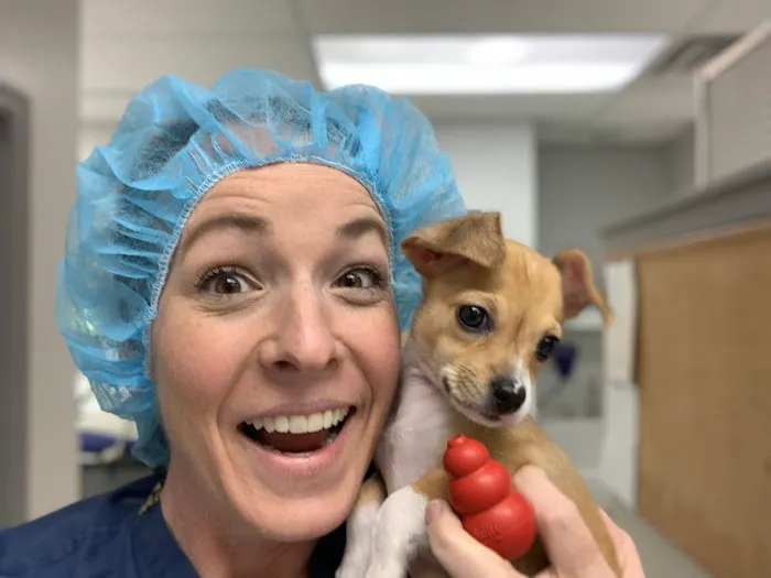 Gateway Veterinary Surgery Picture 5