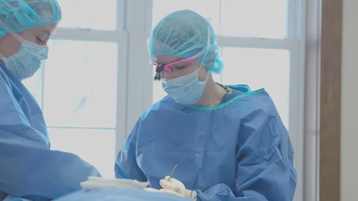 Gateway Veterinary Surgery Picture 3