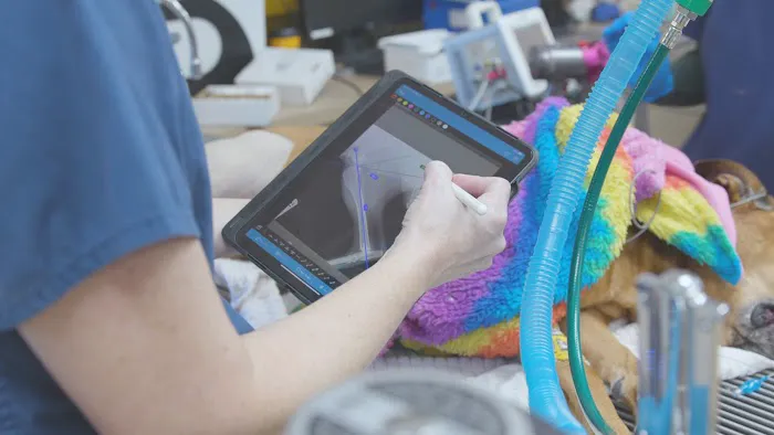 Gateway Veterinary Surgery Picture 9