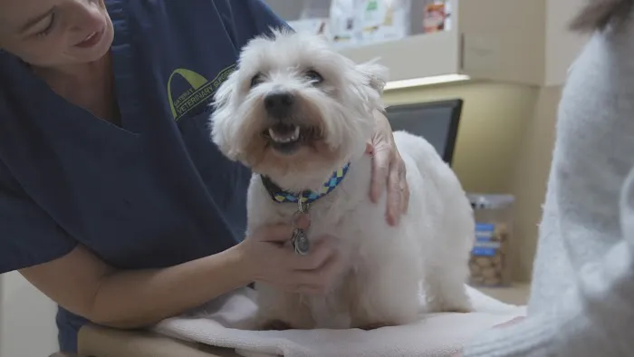 Gateway Veterinary Surgery Picture 10