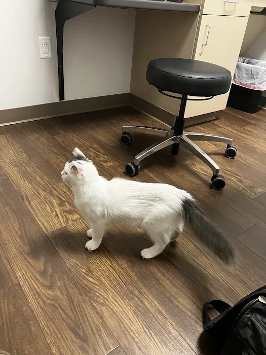 Fox Creek Veterinary Hospital at Kirkwood Picture 9