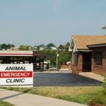 Animal Emergency Clinic