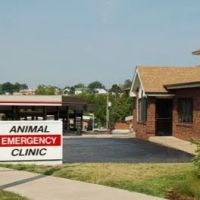 Animal Emergency Clinic ico
