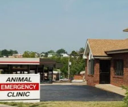 Animal Emergency Clinic