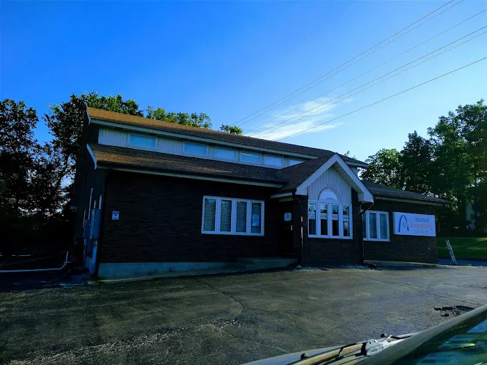 Animal Emergency Clinic Picture 6