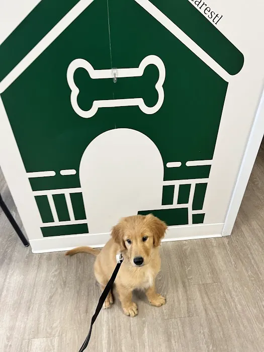 Kind Veterinary Care Picture 3