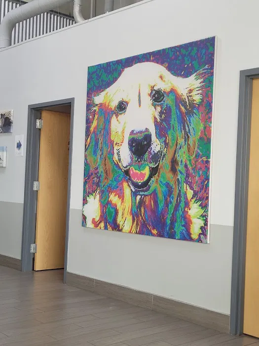 BluePearl Pet Hospital Picture 2