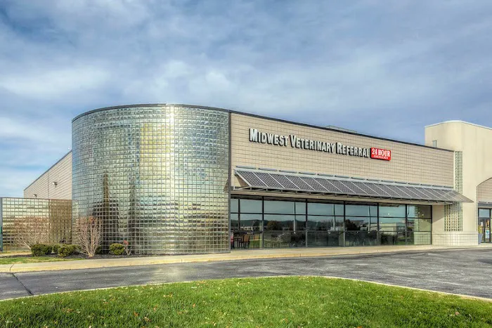 BluePearl Pet Hospital Picture 10