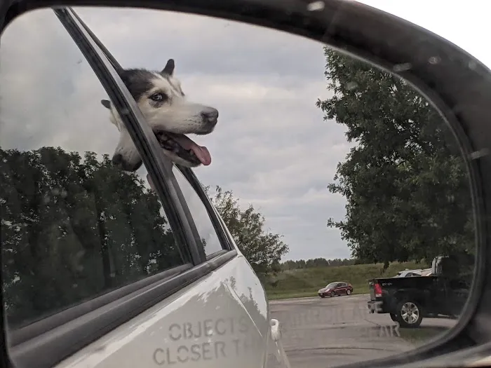 BluePearl Pet Hospital Picture 6