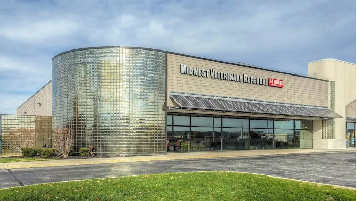 BluePearl Pet Hospital Picture 9