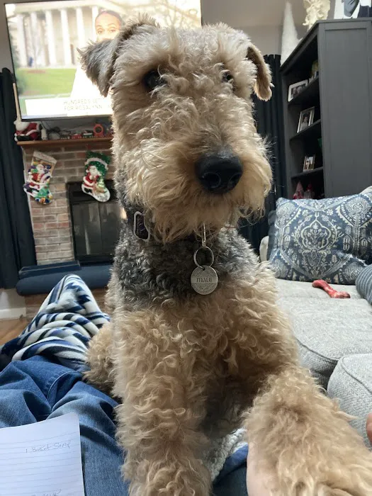 Veterinary Group of Chesterfield Picture 1