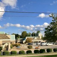 Clarkson-Wilson Veterinary Clinic ico