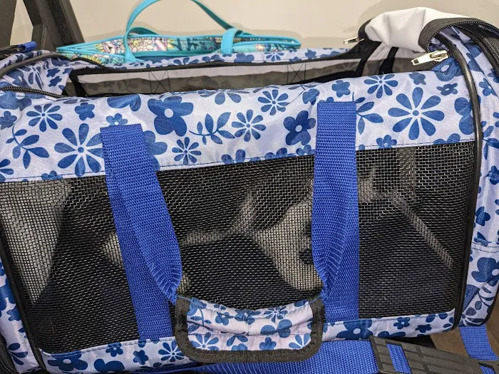 Clarkson-Wilson Veterinary Clinic Picture 2