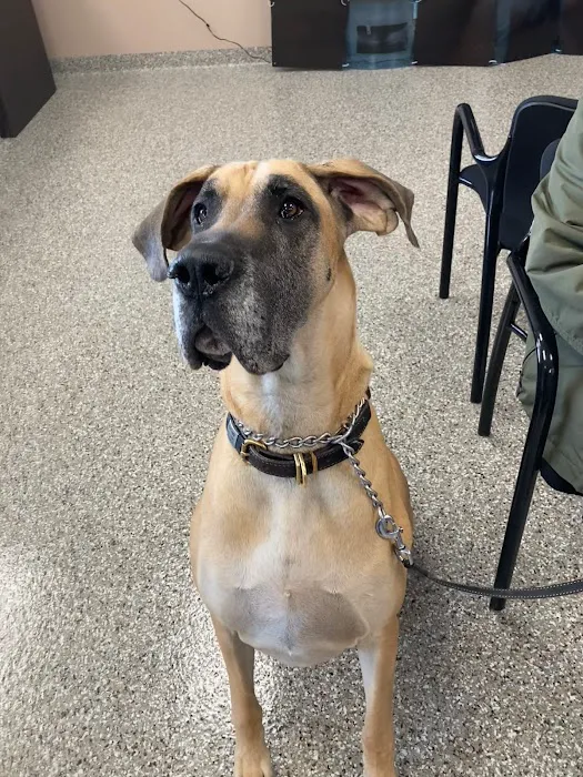 Kehrs Mill Veterinary Care Picture 6