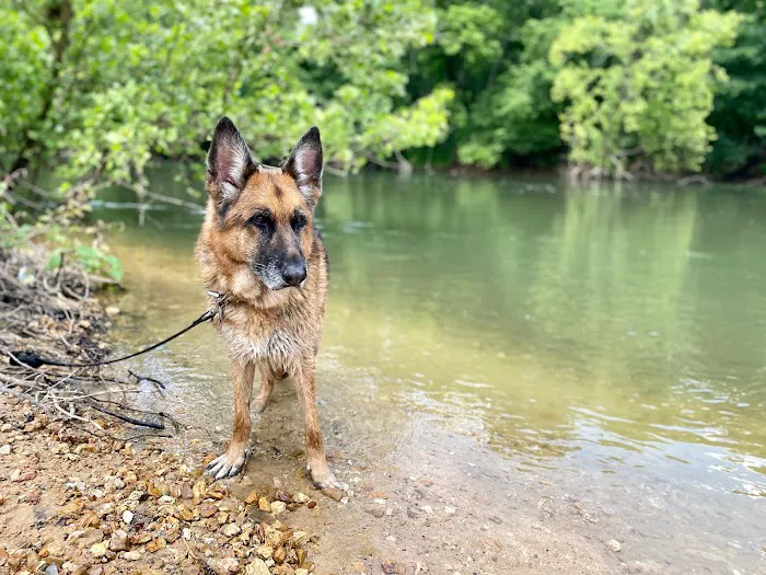 Kehrs Mill Veterinary Care Picture 10