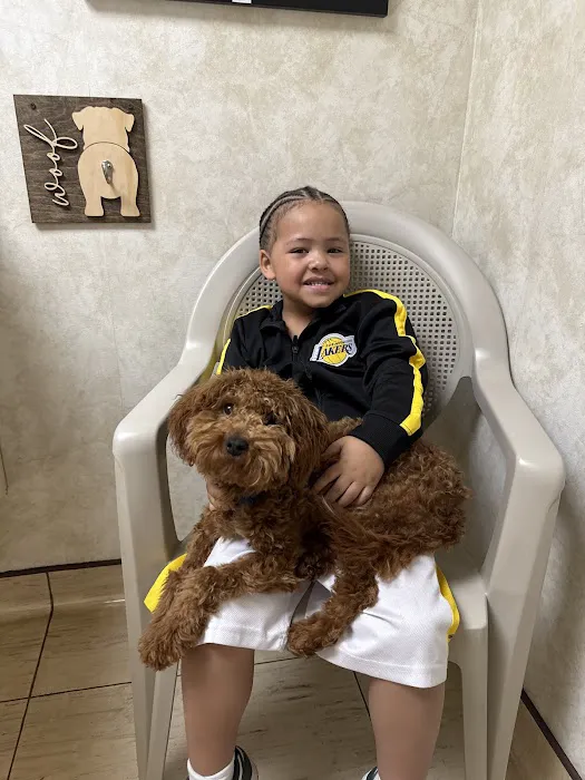 Clayton Road Veterinary Hospital Picture 6