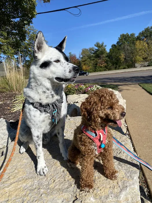 Clayton Road Veterinary Hospital Picture 5