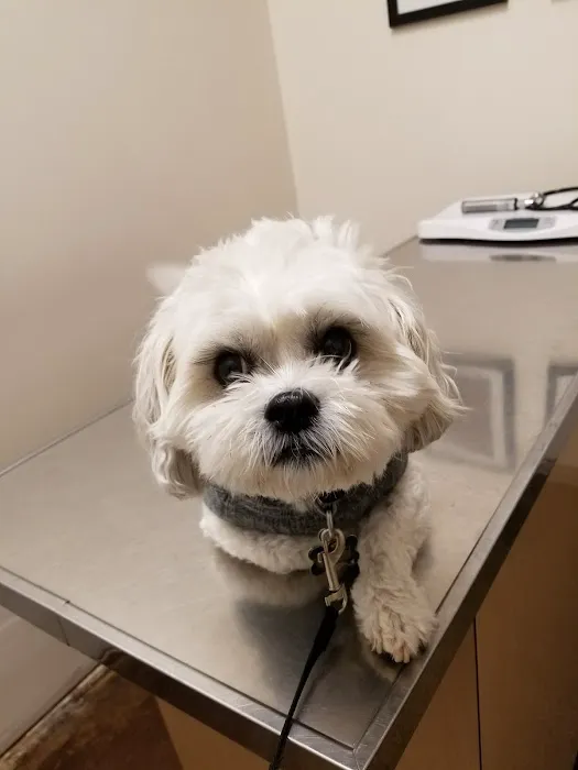 Ark Pet Center Picture 4