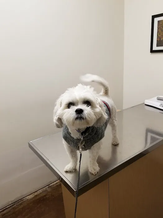 Ark Pet Center Picture 2