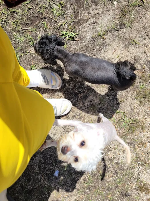 Ellisville Veterinary Hospital Picture 4