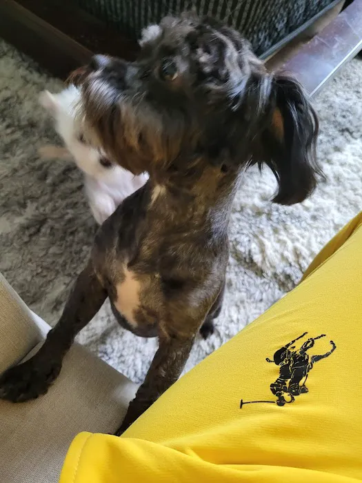 Ellisville Veterinary Hospital Picture 5