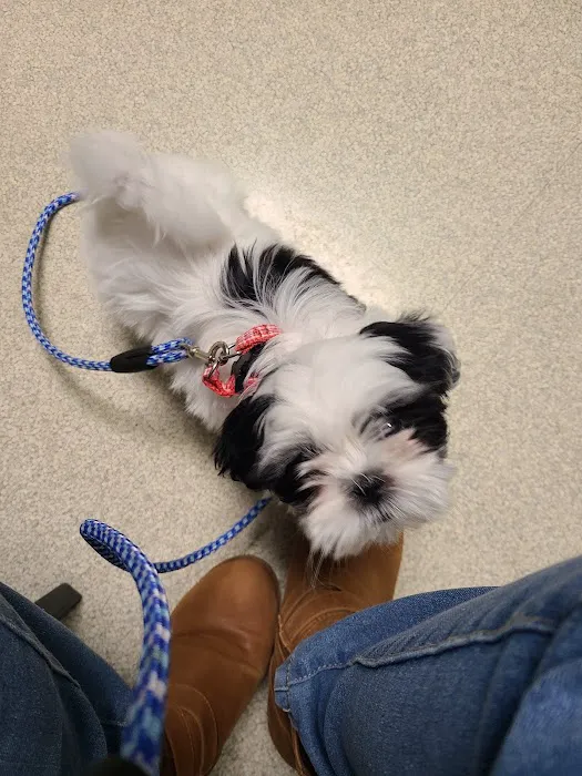 Ellisville Veterinary Hospital Picture 1