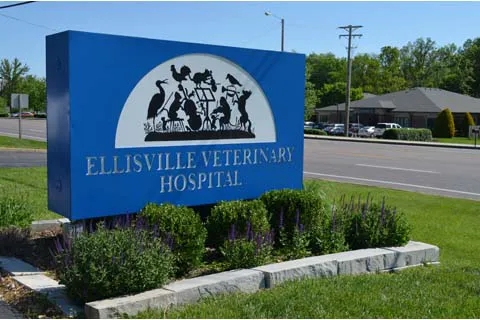 Ellisville Veterinary Hospital Picture 2