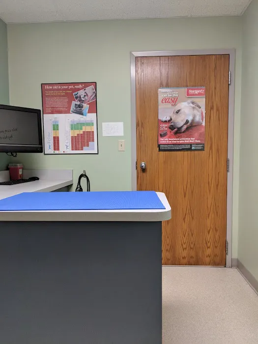 Ellisville Veterinary Hospital Picture 3