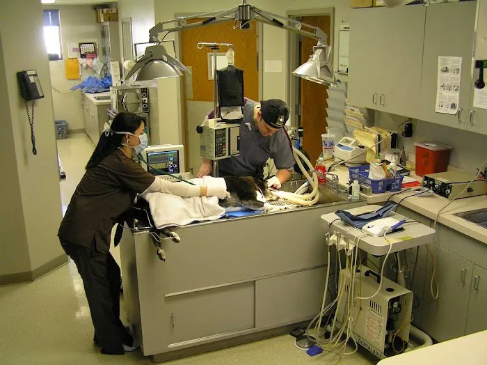 Ellisville Veterinary Hospital Picture 8